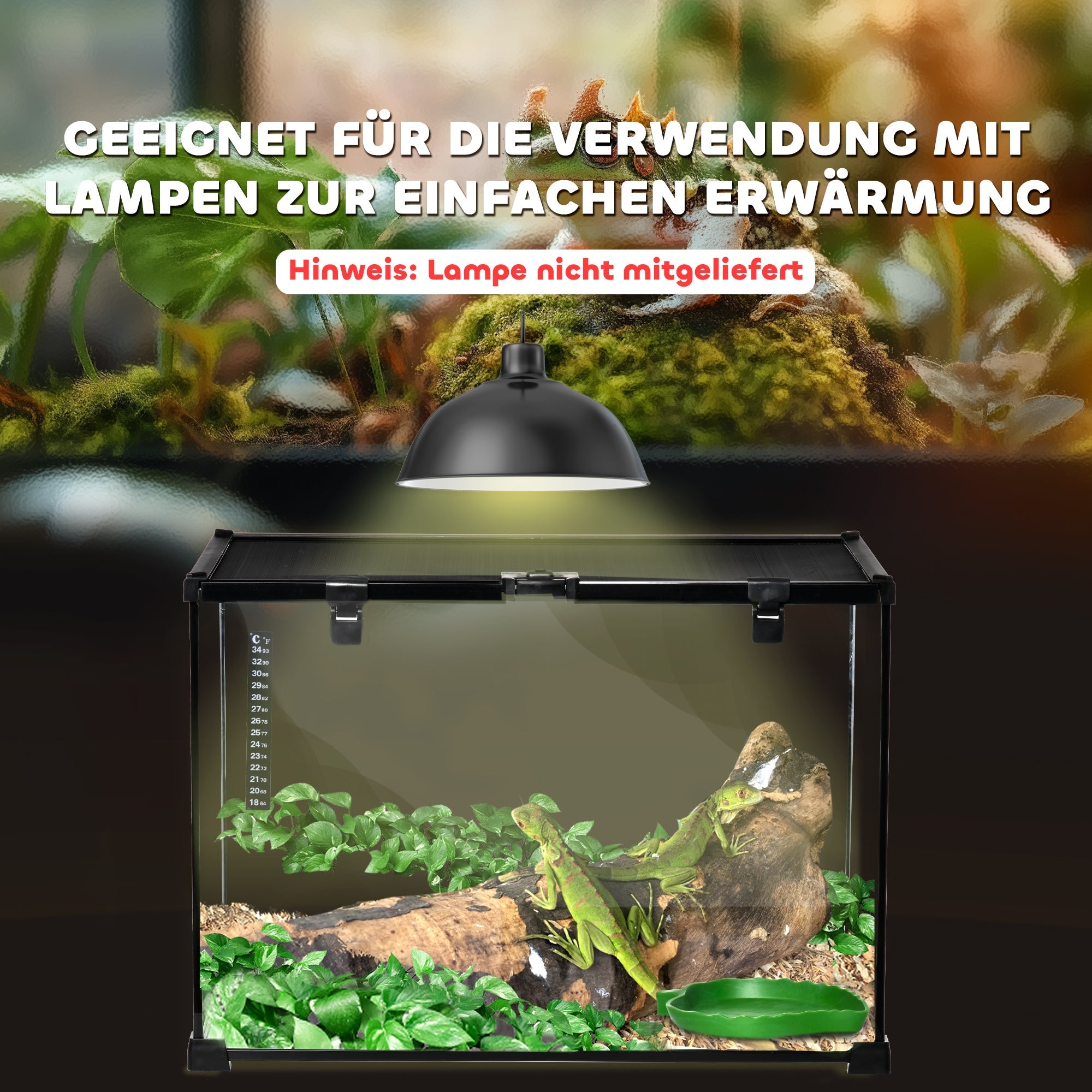 Logidon glazen terrarium 50x30x35 cm met voederopening zwart