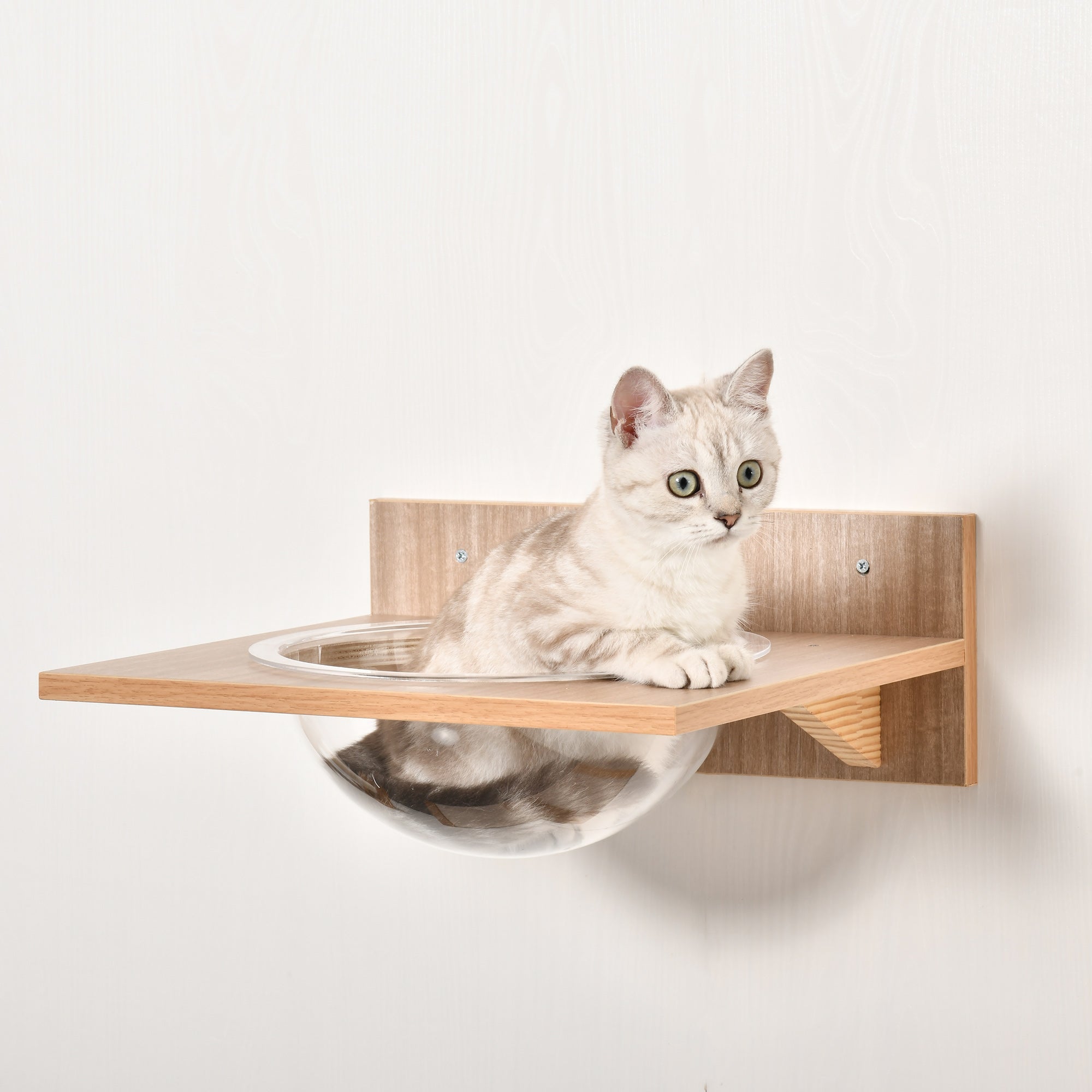 Logidon cat wall set light brown with scratching post, stairs and hammock
