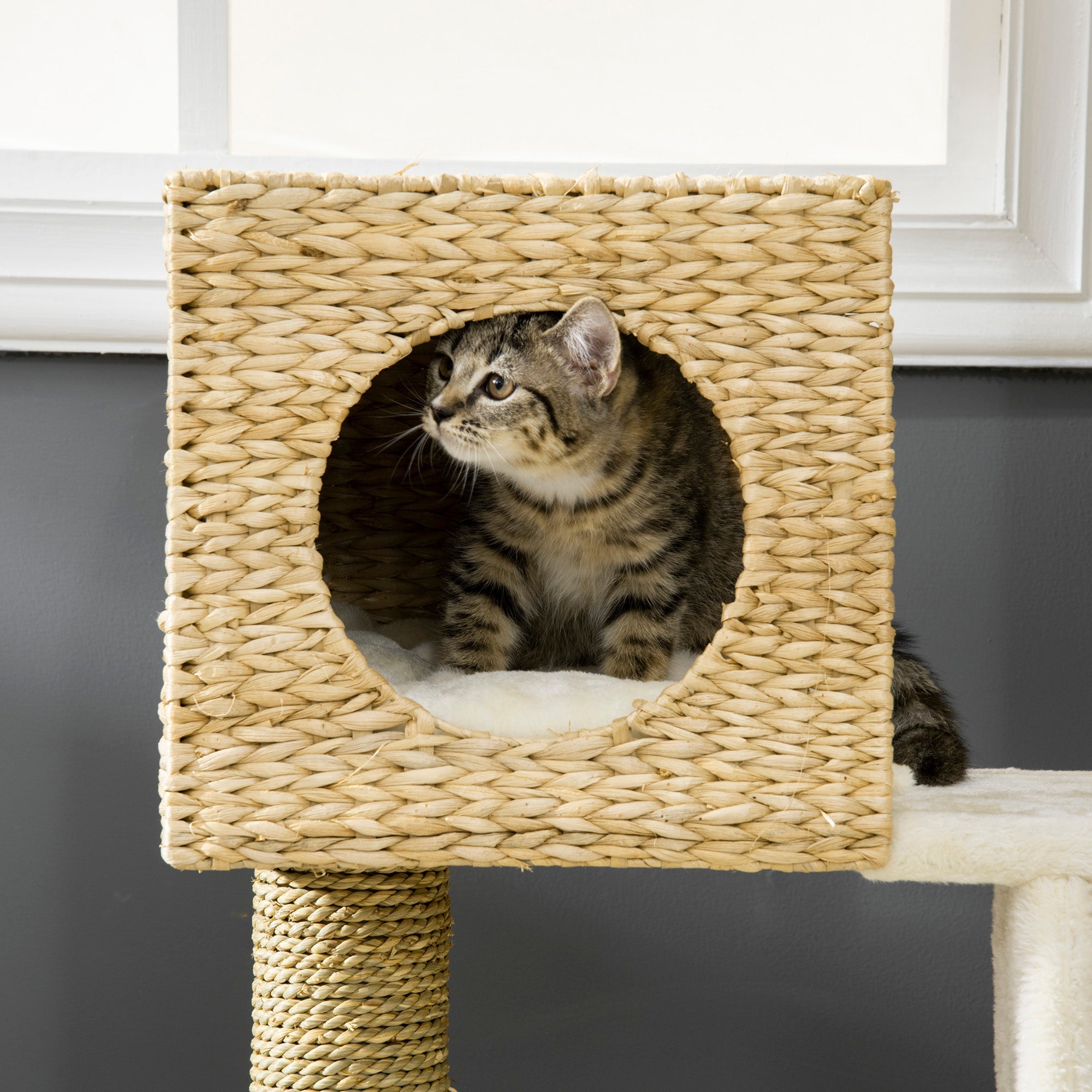 Logidon krabpaal 100,5 cm hoog met kattengrot en kattentrap naturel