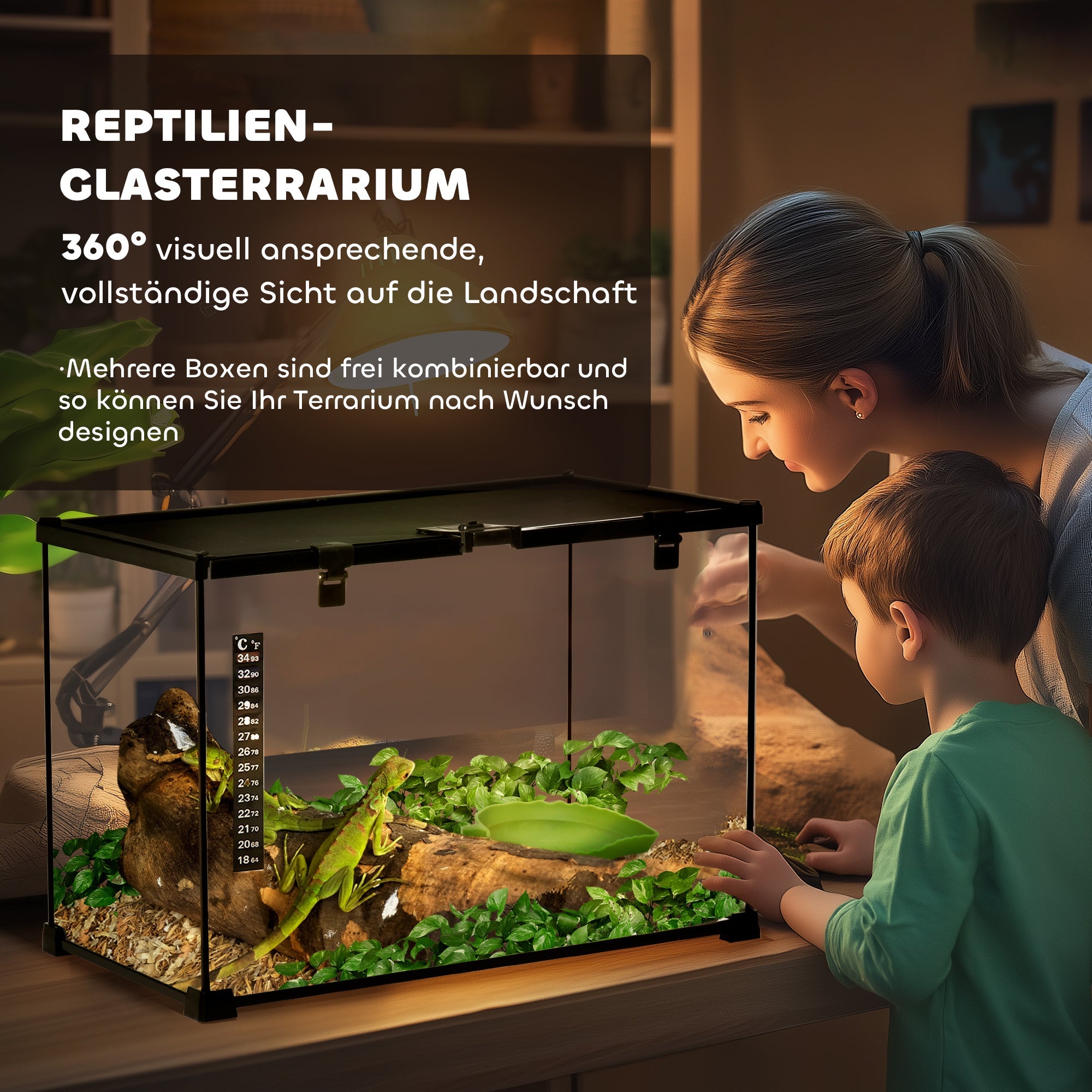 Logidon glazen terrarium 50x30x35 cm met voederopening zwart