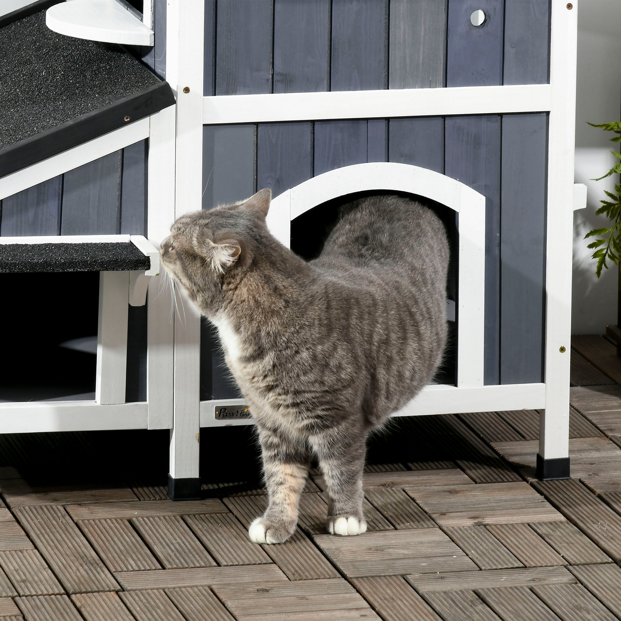 Logidon kattenhuis van dennenhout, twee verdiepingen met asfaltdak, grijs
