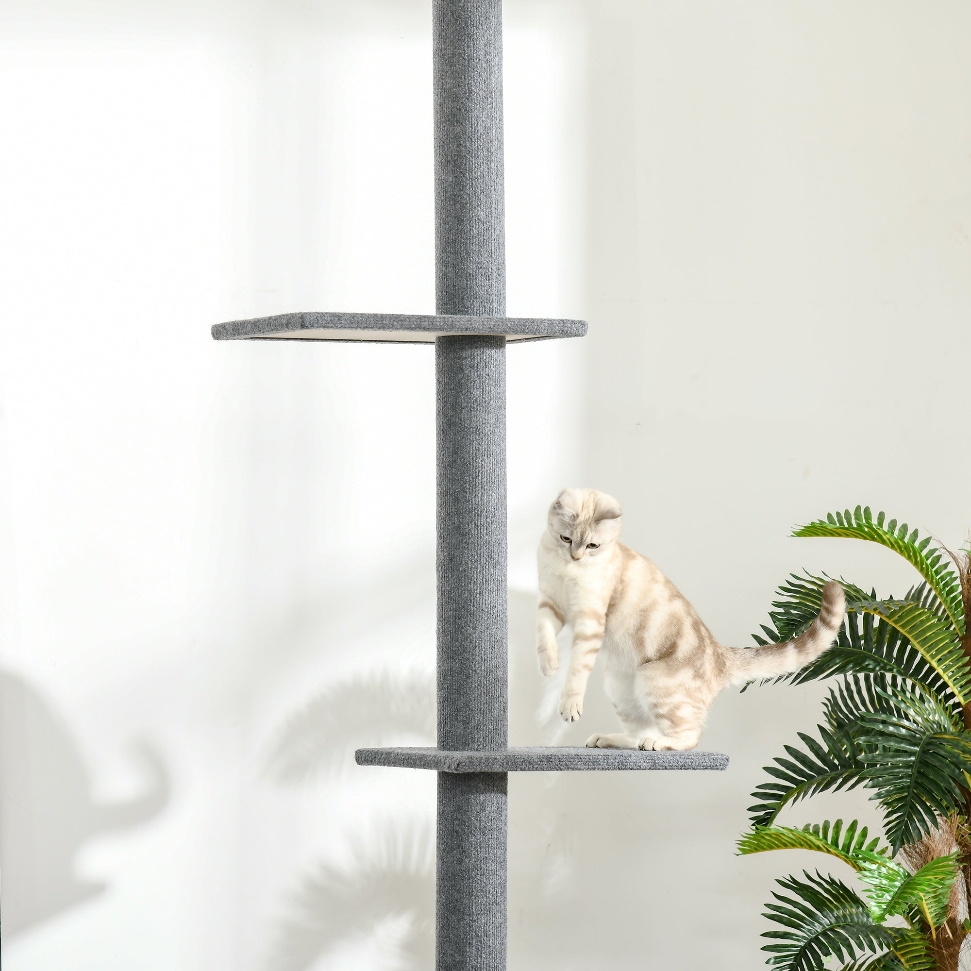 Logidon in hoogte verstelbare krabpaal grijs plafond hoog 228-260 cm
