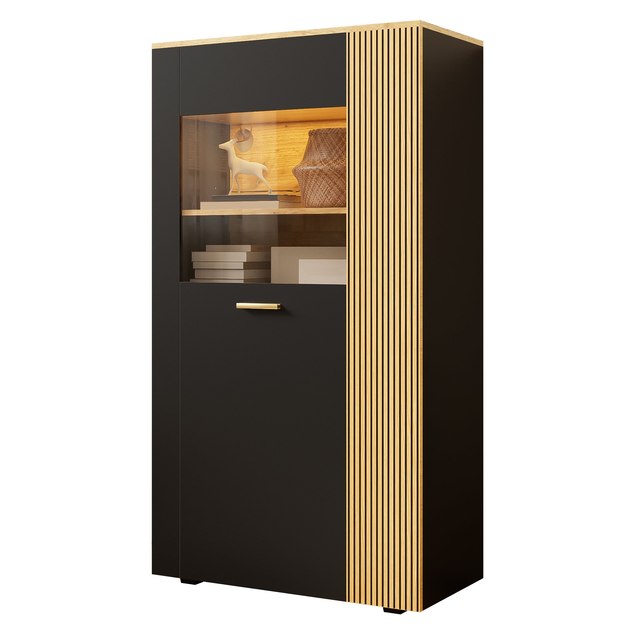 Logidon Moderne PB Opbergkast met LED 16 Kleuren Zwart