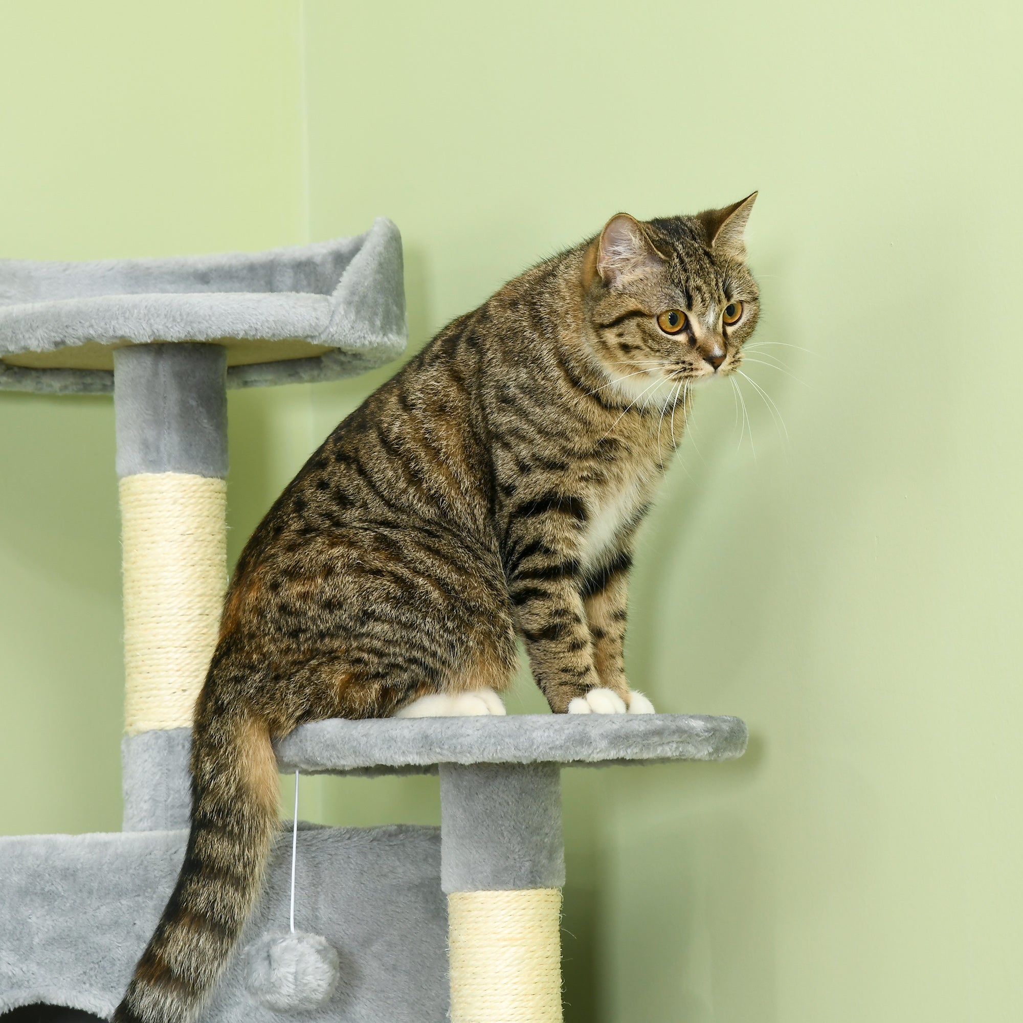 Logidon Krabpaal XXL 200 cm Lichtgrijs en Cat Caves Hangmatten