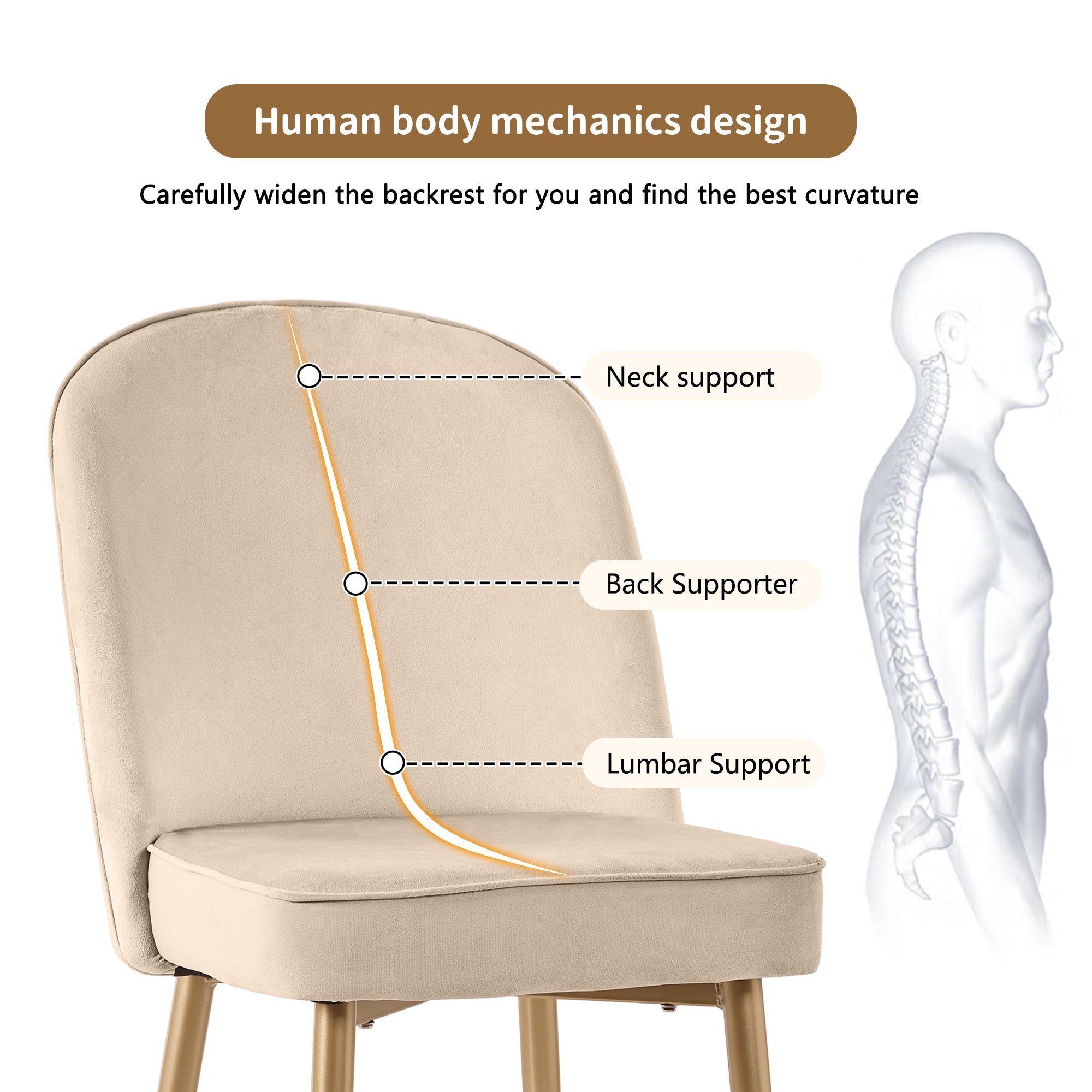 Logidon Set van 2 eetkamerstoelen beige fluweel met gouden poten
