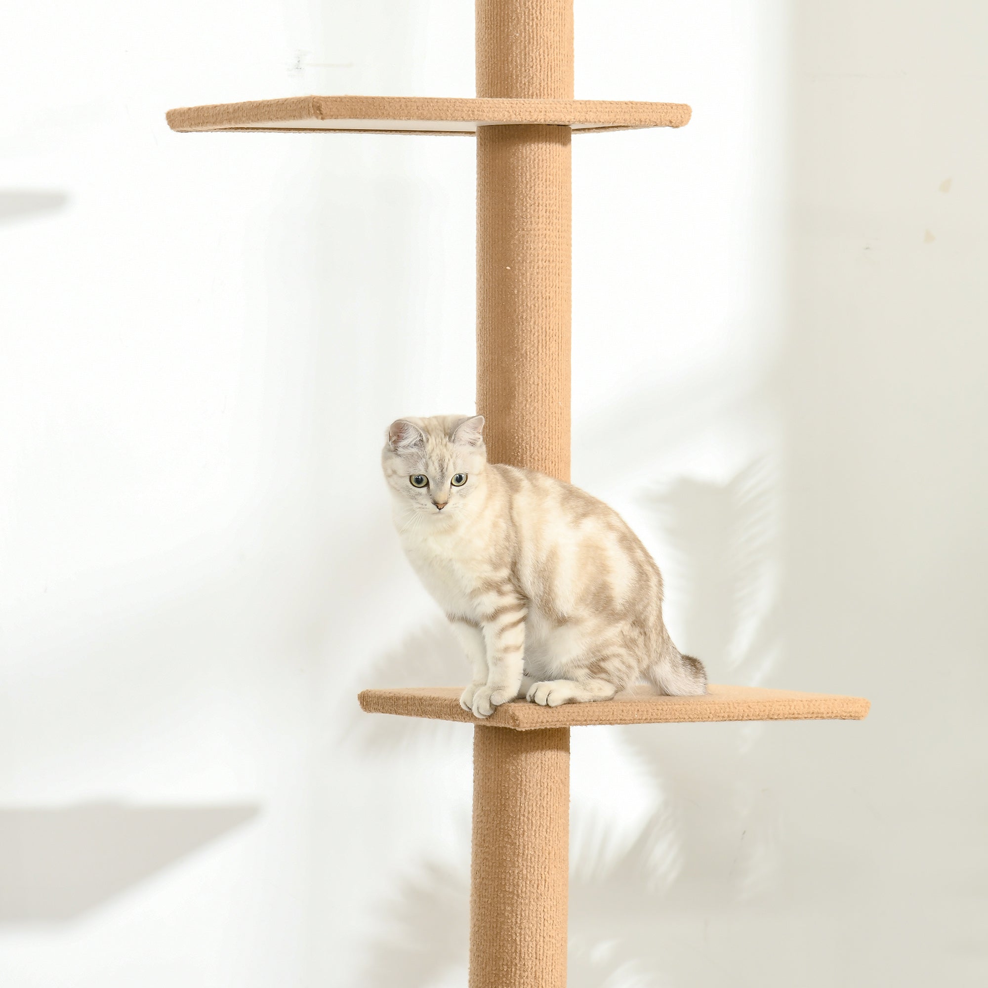 Logidon In hoogte verstelbare kattenkrabpaal lichtbruin 228 tot 260 cm
