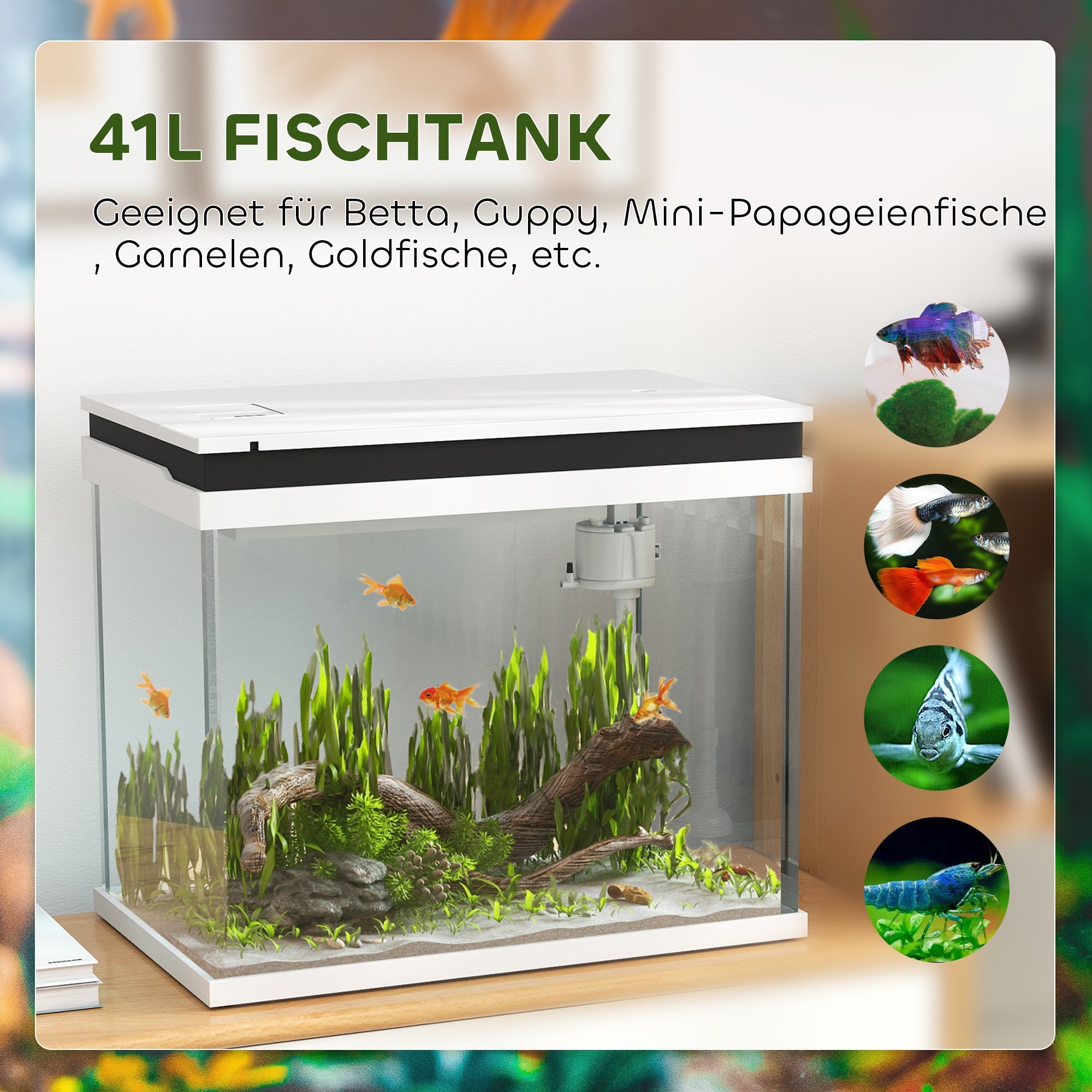 Logidon 41 liter glazen aquarium wit met filtersysteem en LED
