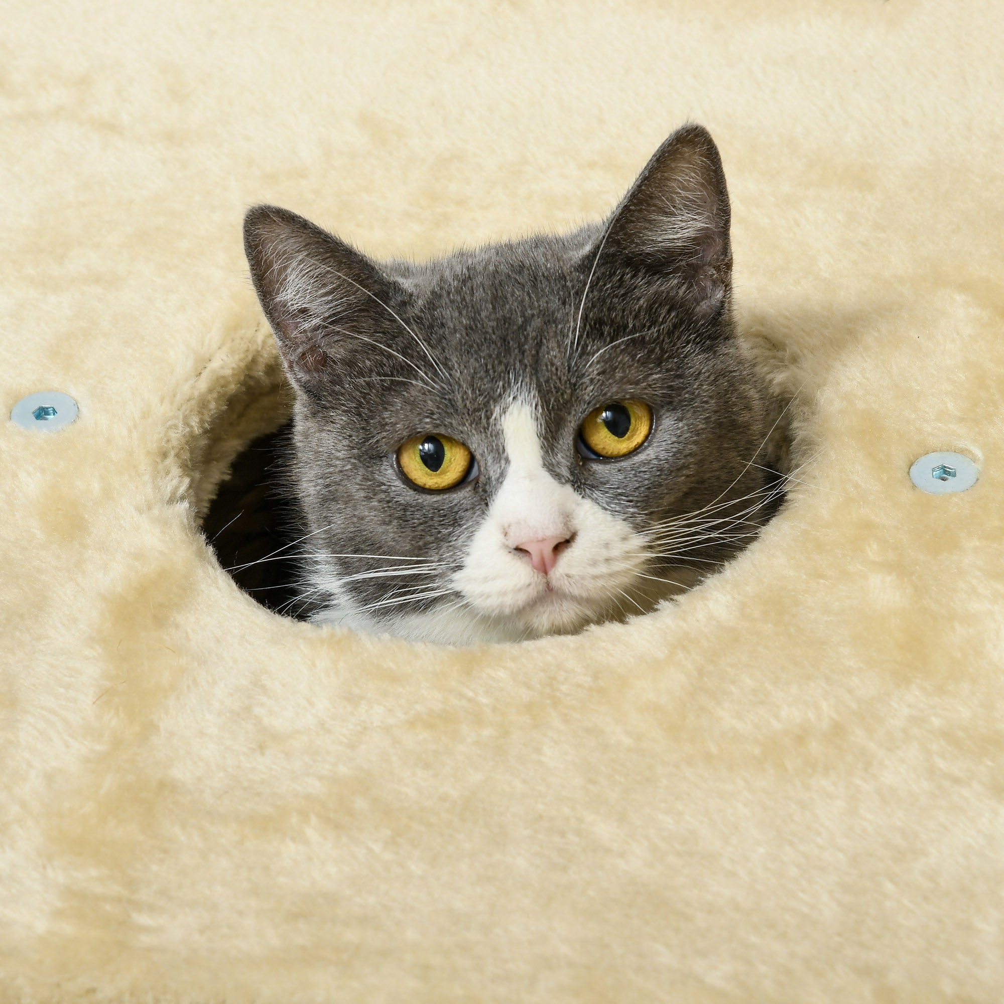 Logidon kattenkrabpaal klein beige met grot en speelbal