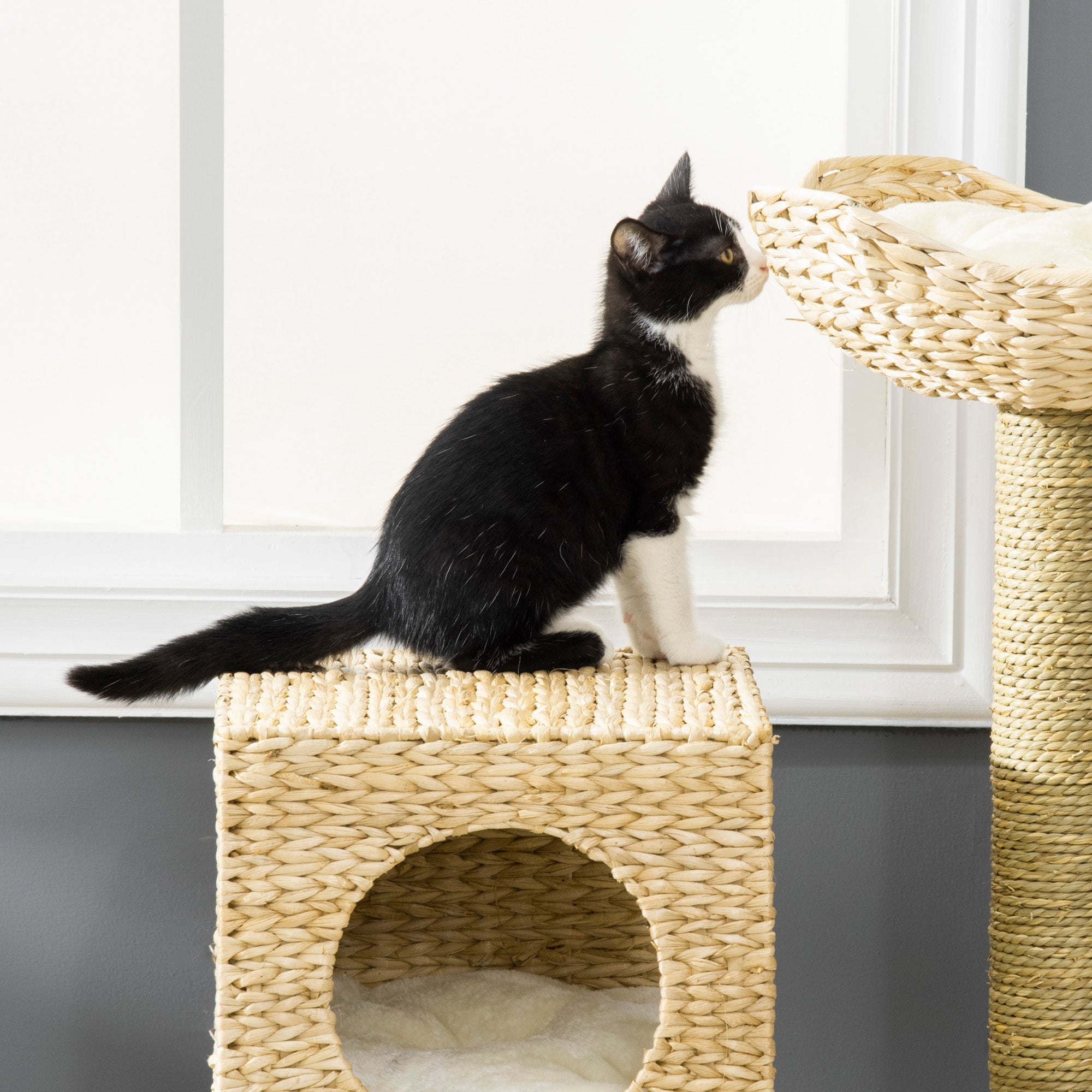 Logidon krabpaal 100,5 cm hoog met kattengrot en kattentrap naturel