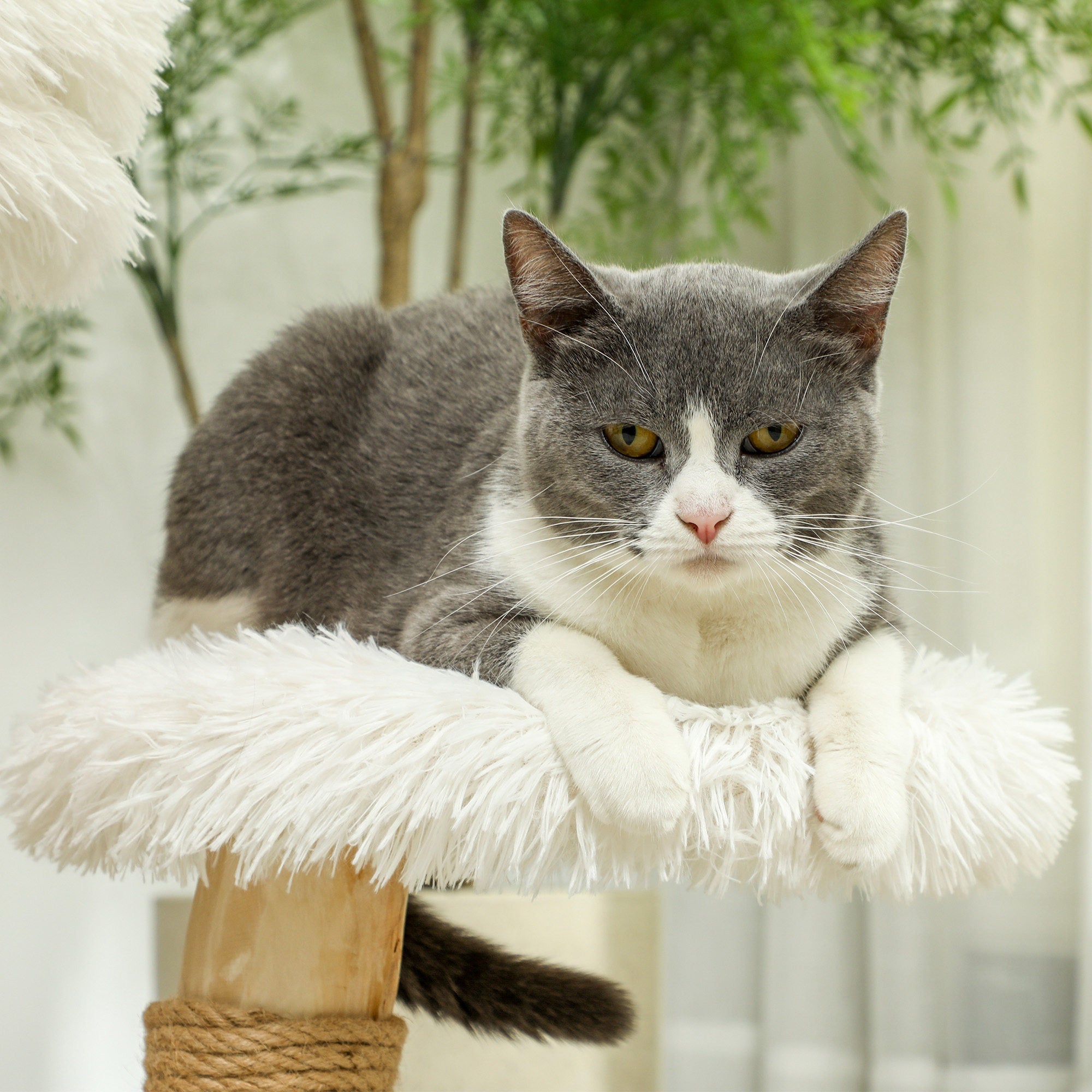 Logidon Kattentoren 61,5 cm Krabpaal van wit perenhout met speelgoedbal