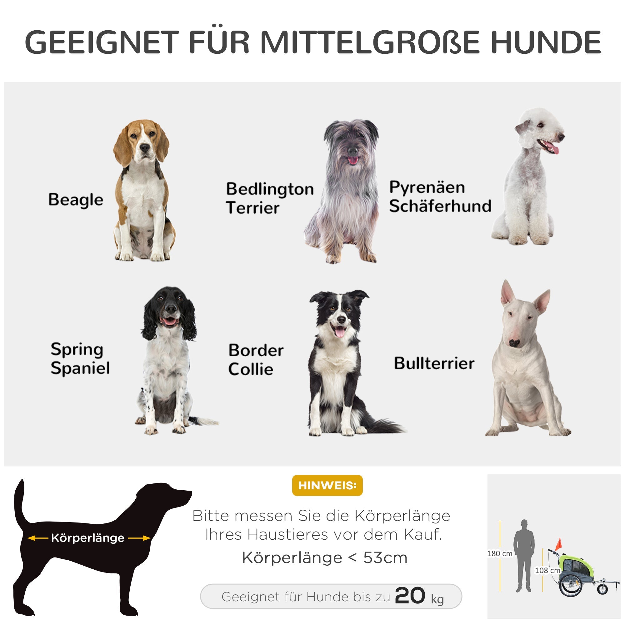 Logidon Dog Tag Jogger Groen Grijs Grote Stabiele Veiligheidsvlag