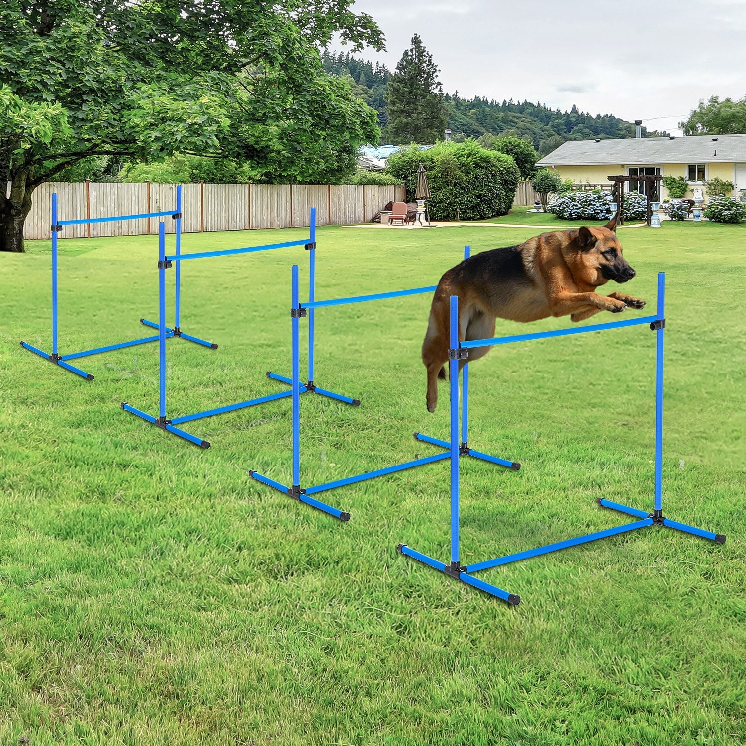 Logidon Agility Set Hond 4-delig In Hoogte Verstelbaar Blauw 99x65x94 cm