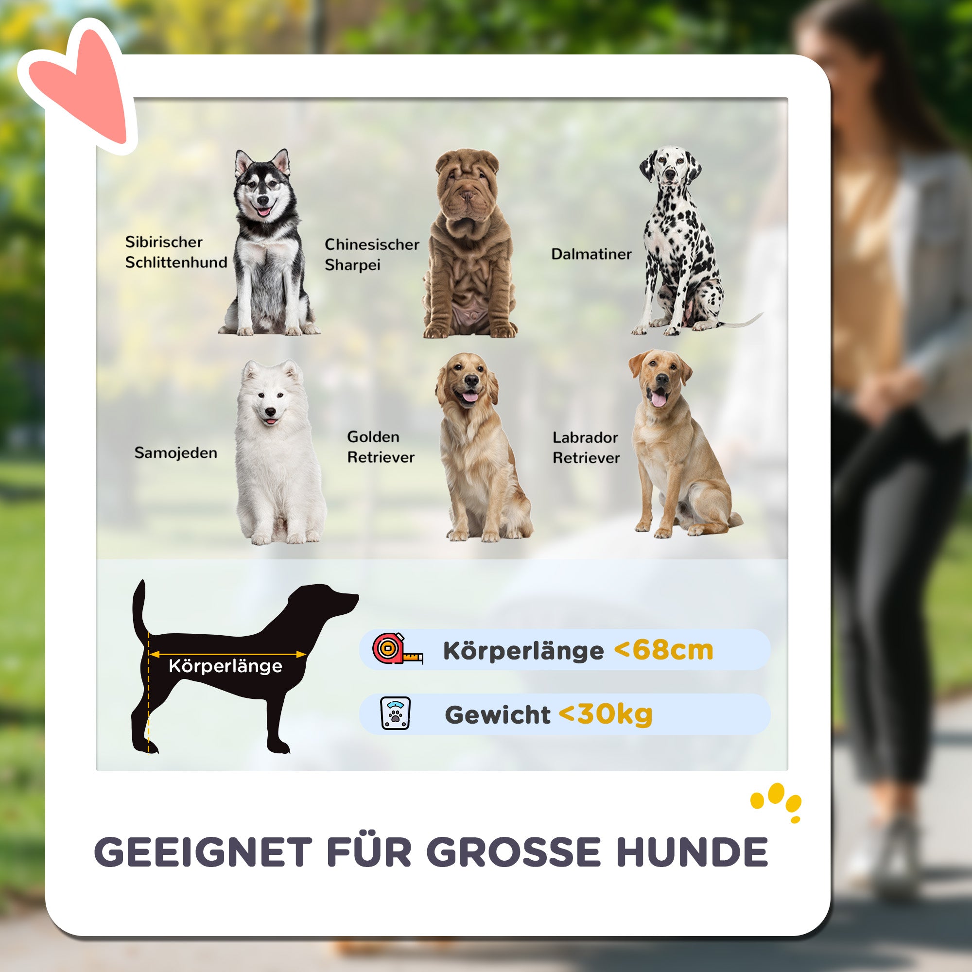 Logidon dog stroller foldable up to 30 kg dark gray cushion mesh window